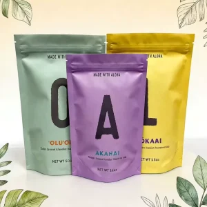 Low MOQ Stand up Pouch Recyclable Food Plastic Bags Custom Rrinted for Freeze Dried Fruit Snack Bag