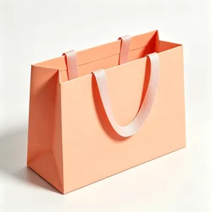 Luxury Art Paper Gift Bag for Shoes Clothing & Shopping with Ribbon Lamination & Offset Printing
