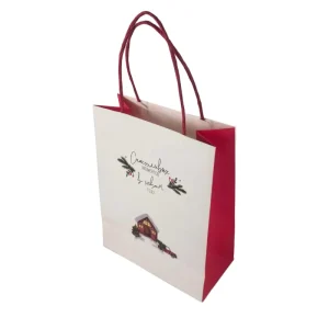 Luxury Biodegradable Recyclable Kraft Paper Cardboard Gift Bag with Offset Printing Custom Logo for Craft and Shoes Packaging