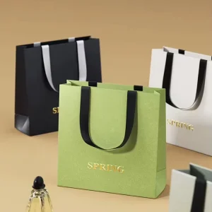 Luxury Custom Color Hot Stamping Medium Size Rope Handle Shopping Gift Kraft Aseptic Bag for Dresses Cosmetic Jewelry Clothes