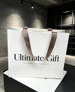 Luxury Custom Paper Biodegradable Recyclable Logo Stamping Art Gift Bags for Clothes & Cosmetic Shopping White Ribbon Handles