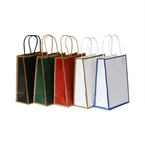 Luxury Custom Printed Gift Paper Bag with Business Logo