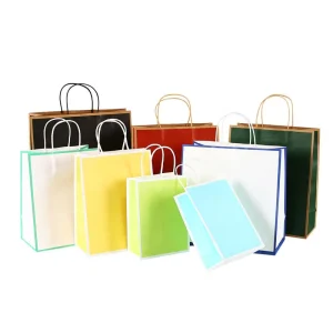 Luxury Custom Printed Gift Paper Bag with Business Logo