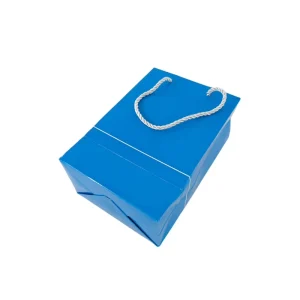 Luxury Durable Eco-Friendly Retail Shopping Paperboard Gift Bag Custom Biodegradable Reusable Recyclable Clothing Packaging
