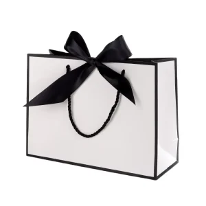 Luxury Eco Friendly Art Paper Biscuit Bag Gift Set with Aseptic Design Ribbon Handle for Friends Fathers Versatile Use Clothing