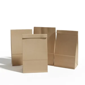 Luxury Eco Friendly Brown Art Paper Bag with Ribbon Handle