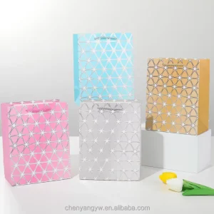 Luxury Fashion Brand Paper Gift Bags Eco Friendly Stylish Direct Low Cost Sales Top Suppliers 48h Delivery