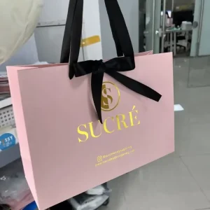 Luxury Pink Customized Gift Shopping Cardboard Bag High Quality Biodegradable Recyclable with Custom Logo Printed
