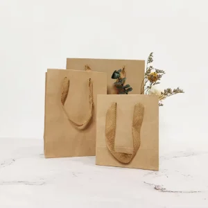 Luxury Recyclable Kraft Paper Shopping Bag with Silk Handle for Exhibition Packaging & Shopping Use