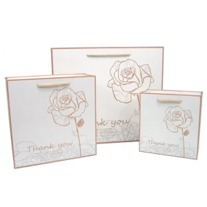 Manufacturer Gift Paper Shopping Bags Custom Thank You Paper Bag for Small Business