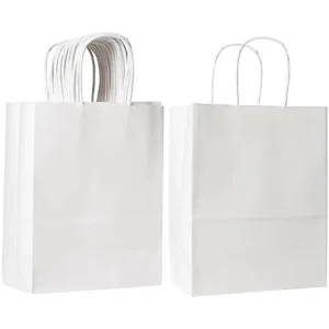 Medium Size 21x11x27cm White DIY Kraft Paper Bag with Rope Handle for Dresses