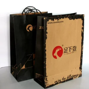 New Fashion Paper Bag with Handle Full Color Print Kraft Paper Gift Bag