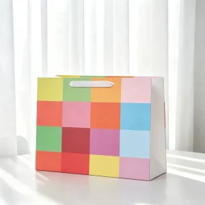 New Style Paper Bag for Shop Versatile Takeaway & Party Paper Bag