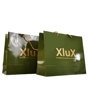 OEM Customized Personal Shopping Bag Paper Bag Printing with Big Green Paper Bag for Clothing