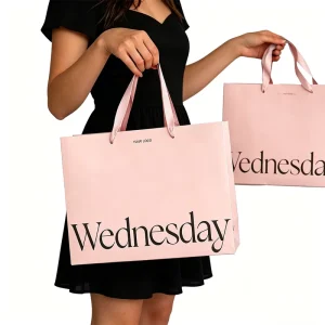 Oem Custom Printed Paper Bag with Ribbon Handle Branded Shopping Bag for Fashion & Lifestyle Brand Packaging Solutions