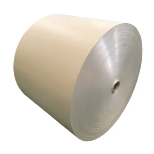 Offset Printing Ivory Board Paper Reels C1S FBB 300 350 GSM Single Side Coated Board Durable Paper & Paperboards