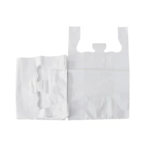 PE PE Eco Friendly Recycled PP Non Woven Shopping Handle Bag Customized Logo PE Plastic Gravure Printing