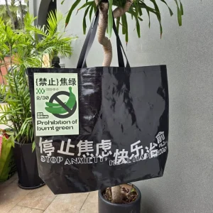 PP Hand Woven Large Reusable Foldable Grocery Tote Non Woven Shoulder Shopping Bag Custom Logo