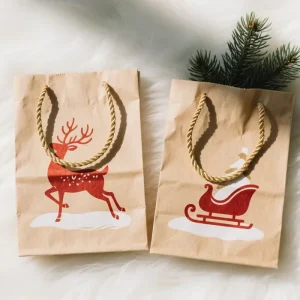 Packaging Printed Luxury Food Grade Aseptic Kraft Paper Gift Bags Lamination Brown Handles Customized Size for Promotion