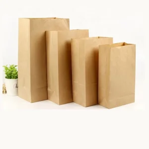Paper Bag Custom Print Logo Kraft Paper Packaging Bags
