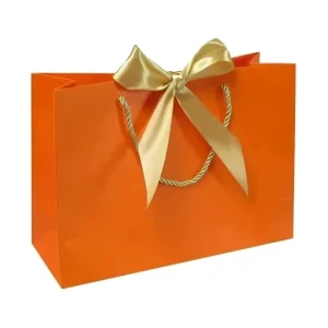 Personalized Custom Logo Gift Bags for Stylish Packaging Solutions