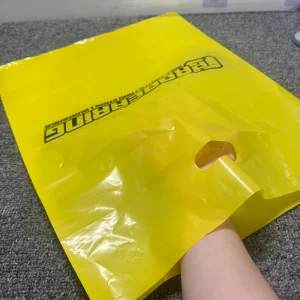 Personalized Shopping Bag, Custom Logo Printed Boutique Clothing Packing Die Cut Handle Plastic Bags