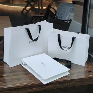 Plain Blank Recyclable Paper Shopping Bags With String Handles Restaurant Food Takeaway