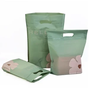 Plastic Bag Packaging Fashion Shopping Plastic Bag