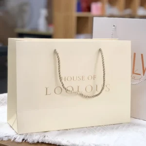 Premium Biodegradable Cardboard Bags Customizable Logo & Color Promotional Use for Business Luxury Packaging