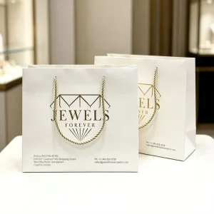 Premium Jewelry Gift Shopping Bag Custom Hot Gold Stamping Luxury Paper Packaging for Apparel Boutique Bulk Supply
