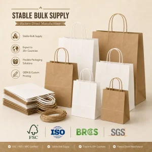 Premium Twisted Handle Paper Bag Custom Logo White Kraft Shopping Bag for Boutique Bakery Gift Food Packaging Bulk OEM
