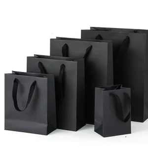 Price Famous Brand Gift Bags Custom Shopping Paper Bag Custom logo Bags