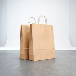 Promotion Eco Friendly Recyclable Natural Kraft Paper Customizable Paper Shopping Bag with Twisted Handles