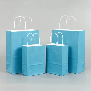 Recyclable Art Paper Bags Twisted Handles Customizable Size Color Logo Eco Friendly for Promotion Food Takeaway Gift Shopping