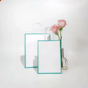 Recyclable Eco Friendly Kraft Shopping Bags Sturdy Handle Design Silk Screen Printed Customizable Boutique Promotion