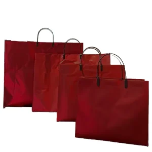 Recyclable Eco friendly Custom Frosted Ziplock Plastic Bag for Clothing Packaging