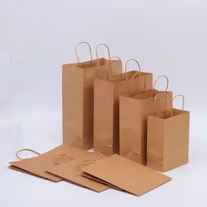 Recyclable Kraft Paper Bags Brown Kraft Paper Bags White Kraft Paper Bags With Twisted Hand Ropes
