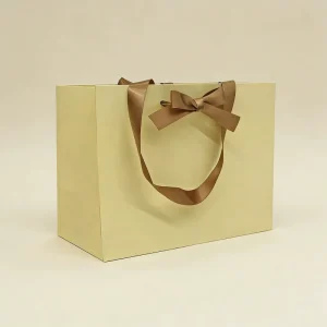Recyclable Luxury Clothing Jewellery Paperboard Bag Offset Printing Custom Logo Twisted Premium Brand Design Retail