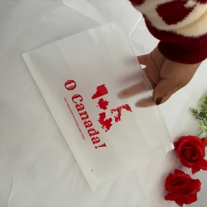 Recyclable Plastic Zip Bag Custom Clothing Bag with Your Own logo