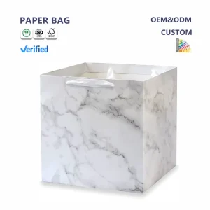 Recyclable Take Out Shopping White Kraft Paper Bag with Heat Seal Twist Handle Flexo Printed Custom Size and Logo