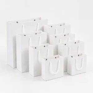 Recycled Paper Bag Custom Brand Logo Printed Durable Luxury Business Shopping Paperboard Bag with Ribbon Handle