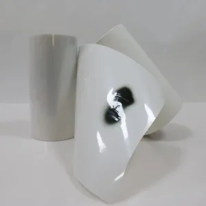 Self Adhesive Acrylic Hot Melt Die Cut Single Sided Thermal PP Material Transparent Heat Resistant Waterproof Paper Film