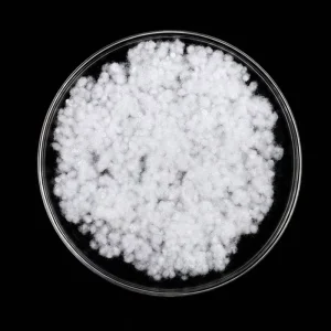 Self Recovering Cluster Fiber Fill Conjugated Ball Fiber Stuffing Fluffy and Lofty Baby Safe Pregnancy Pillow Fill Cat Cushion