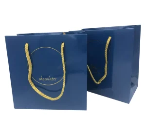Shopping Bags Retail Bags for Fashion Clothing and Beverage with Customized Printing and Logo