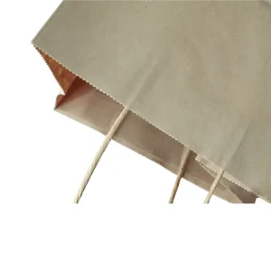Shopping Gift Kraft Paper Bag Kraft Paper Bag Recyclable