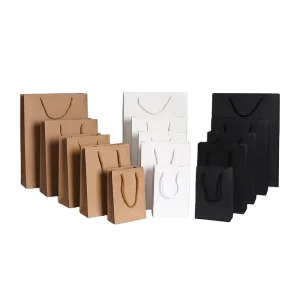 Small Vertical 13*19*6cm Stock White Black Card Paperboard Bag Recyclable Screen Printed Varnished Promotion Hand Length