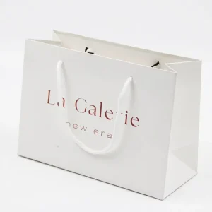 Stock Eco Recyclable Paperboard Shopping Bags with Hand Length Handle Low MOQ Custom Logo Bakery Portable Bags for Exhibition
