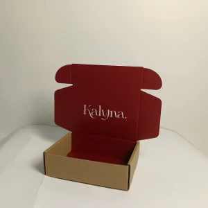 Strong Corrugated Kraft Paper Mailer Boxes White Silk Screen Logo Sponge Lining Matt Lamination Eco-Friendly Recycled Aircraft