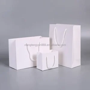 Stylish White Paper Bags for Shopping Recyclable with Elegant Ribbon Rope Specific Dress Genre