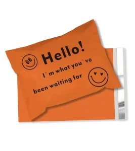 Tear Proof Apparel Packaging Custom Logo Printed Plastic Poly Bags Mailer Bags Mailing Bag for Shipping Clothing Clothes